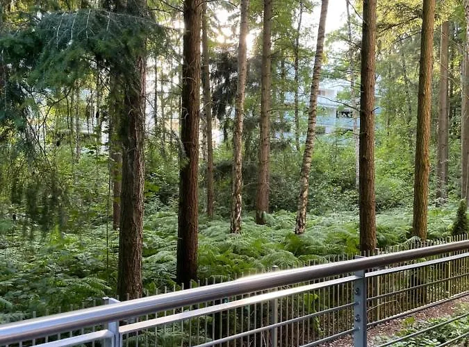 Apartment Golden Tulip *